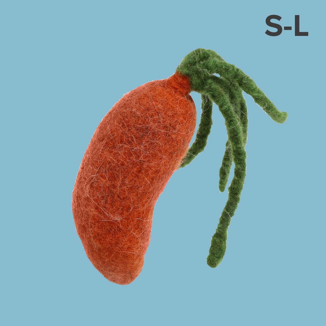 Zabawka z bio filcu z wełny organicznej dla psa Marchew - Petsome